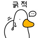 와가야카레 이미지