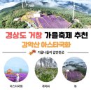 흰구름이머무는풍경 | 거창 감악산 풍력단지 아스타국화축제🌸 보랏빛 언덕에서 가을 인생샷 건진 후기 (주차·포토존 총정리)