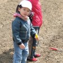 주희농장 Daum카페