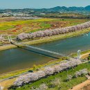 세계5대습지~순천만정원~34만평 정원에 펼쳐진 꽃들의 향연 이미지