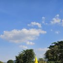 태국 블루사파이어CC 이야기 22 - 팜트리 기둥, 오션코스의 바람 이미지