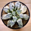 화정 농장 이미지