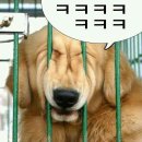 솔로몬공사 이미지