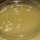 대일관광고등학교 이미지