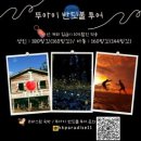 코타키나발루 반딧불 투어 &#39;뚜아이반딧불투어&#39; 후기