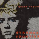 [LP] Roger Taylor - Strange Frontier 중고LP 판매합니다. 이미지
