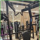 쏘마휘트니스 이미지