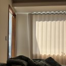 파인트리펜션 이미지