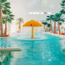 힐링드림게스트하우스 이미지