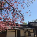 차용주 | [김삼웅의 인물열전] 호방한 자유인 허균 평전 (20)