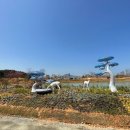 상상의숲-Dream 이미지