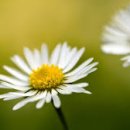 더엔비헤어 이미지