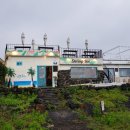 쉬림프 블로썸 이미지