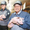 삼성농장 이미지