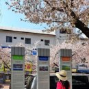 부곡온천중앙로 이미지