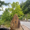 예솔이네집 이미지