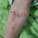 협진반점 이미지