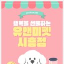 폭신 | 오산 렉돌 분양 후기｜폭신한 천사냥이와의 첫 만남