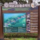 화순고인돌유적지(박씨제각) 이미지