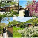 설악한옥민박 | 고성 가볼만한곳 고성왕곡마을 600년 세월을 버틴 조선시대 전통 민속마을 여행 후기! '영화 동주 촬영지'