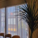 인스토어 | 하남입주가구 쇼핑은 여기! 라미에스 인 더 바이브스토어 후기💡