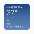 야옹아 멍멍해봐(수원 구운점) | 튀르키예