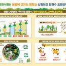 수림자원 이미지