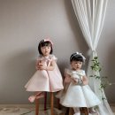 더카멜리아