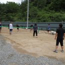 시골흑염소 이미지