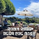 바인야드주 | 아이와 함께하는 와이헤케 와이너리 투어 : 오션뷰와 와인의 환상조합 머드브릭 빈야드