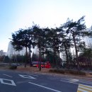 신곡주공5단지아파트경로당 | 동탄 능동 주공에서 인천공항 가는 리무진 시간표 예매 팁 완벽 정리