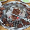 황소걸음식당 | [영주맛집] 대구에서 소고기 먹고 실망해서 가본 영주 소고기 맛집 황소걸음 식육식당 내돈내산 솔직후기!