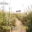 STAY1METER 이미지