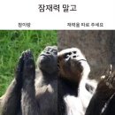 모도리네일 - 의정부시 | 📂 7월 주간일기 | 비에 젖고, 웃고, 여름을 버틴 2주 기록