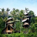 정글 게스트하우스 이미지