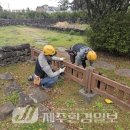 제주 도련동 귤나무류 | 제주자연유산돌봄센터,‘제주 도련동 귤나무류’, 울타리 보수