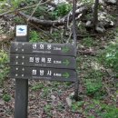 석청목장 | 15.05.23일 단양 소백산 산행후기