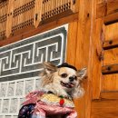 삼청동호떡카페 | 종로 나들이 코스 (삼청동, 북촌 한옥마을, 인사동, 청계천 가볼만한곳)