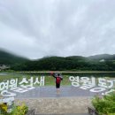 비오는 날 영월 동강 래프팅 찐 후기