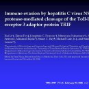 Immune evasion by hepatitis C virus NS3/4A protease-mediated cleavage of the Toll-like receptor 3 adaptor protein TRIF 이미지