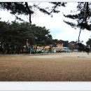 흥해서부초등학교 | &lt;해파랑길22코스(괴시리전통마을▶고래불해변)&amp; 북송리 북천수 숲길 걷기&gt;길동무프로그램 후기