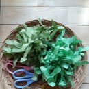 드림작은도서관 이미지