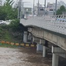 '물폭탄' 5명 사망·3,500여 명 대피..교량도 '푹' 꺼져 이미지