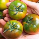 우리청과 이미지