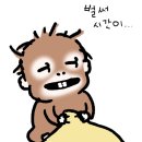 혜전대정문앞 - 우 | 청주 충북대 정문 맛집 / 준딩동치킨