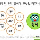 뻔뻔한 점핑운동