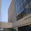 [강릉] 신라모노그램_더그로브테이블_분위기 있는 와인바 'ATC' (내돈내산 후기)