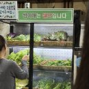 녹원쌈밥 네이버블로그