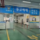 가온모터스 | 닥신tv 보고 중고차구매 성공후기 !!