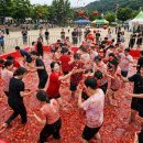 대박농산물판매장 | 2026 8월 강원도 가볼만한곳 화천 토마토축제 황금반지 꿀팁 및 주차 명당 완벽 공략집